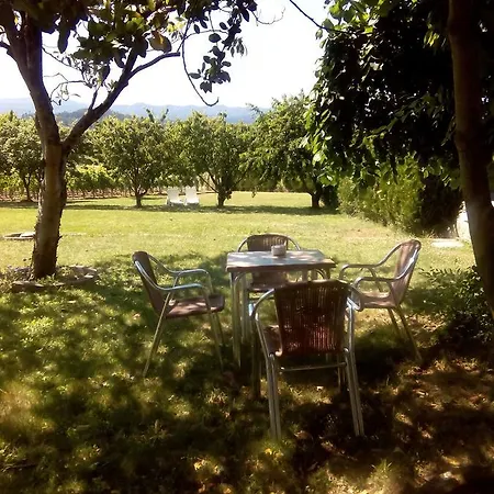 Pazo Carballo *